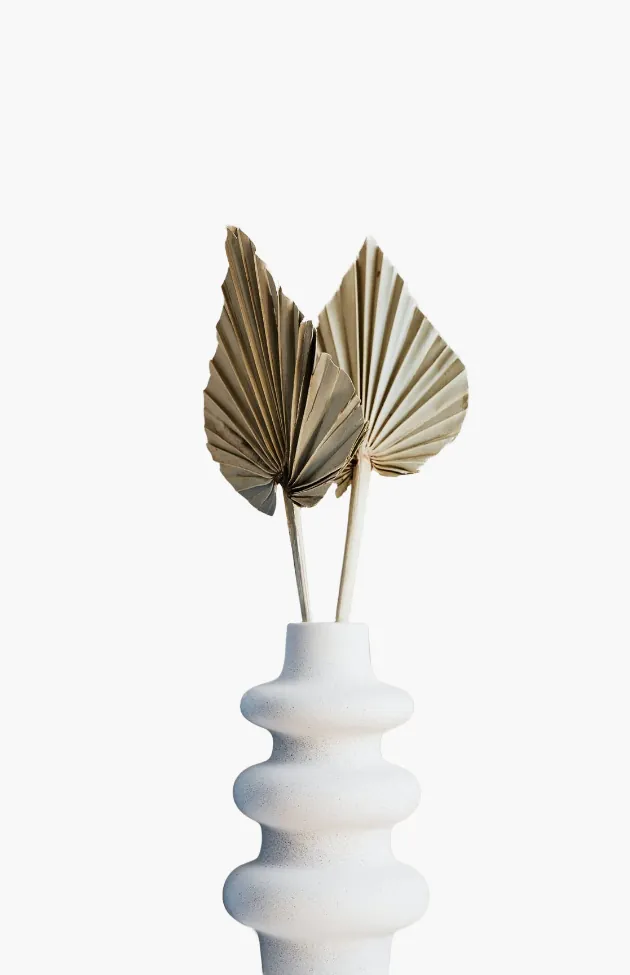 O nas 1 product category 5 O nas