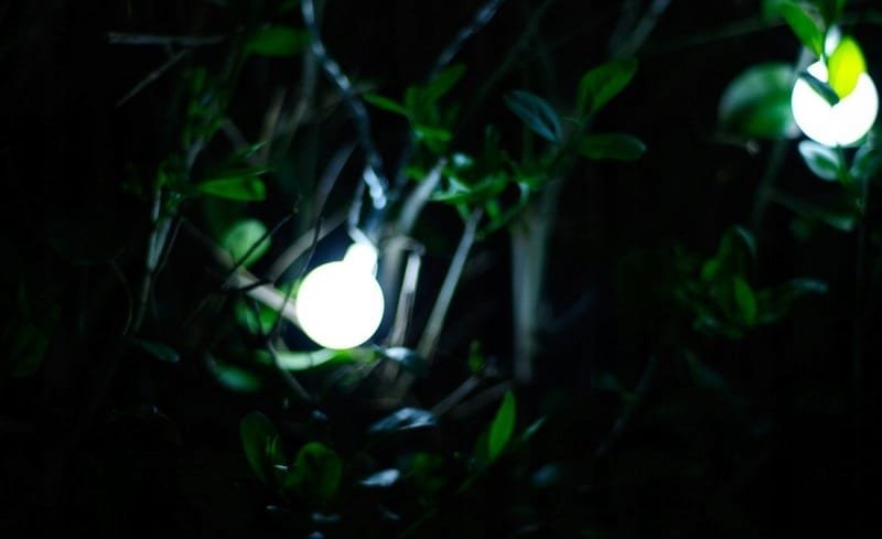 Lampki ogrodowe girlandy ogrodowe 20 metrów zewnętrzne 200 LED Światło stałe - Zimny Biały 12 c264c2491480bc35f684f7fc24dc4bb5