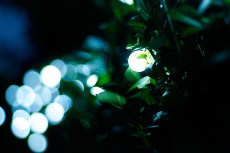 c215da807b3a3aa4dc8706d60dc111f4