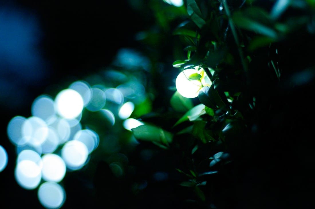 c215da807b3a3aa4dc8706d60dc111f4