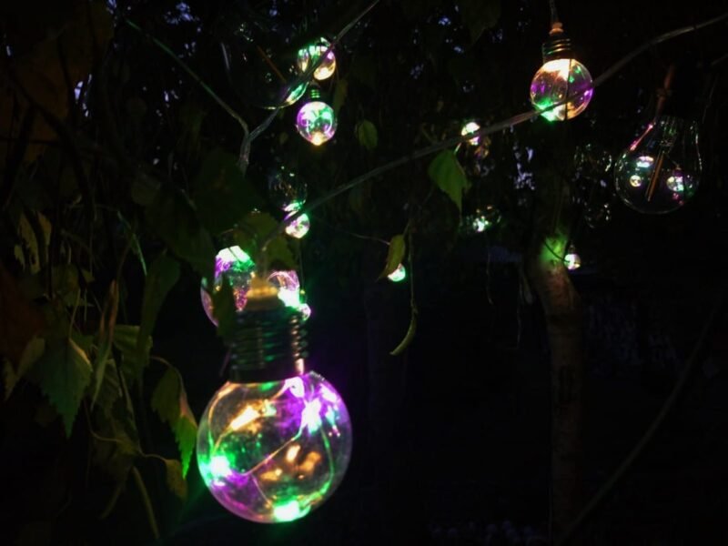 6214-1.jpg c8492faeacd9b728b0c2a4f2cbdda14c