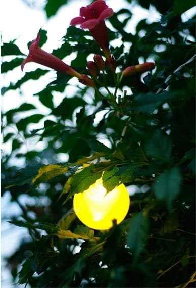 Lampki ogrodowe girlandy ogrodowe 10 metrów zewnętrzne 20 LED Światło stałe - Multikolor 14 b46efae5440e5d350f6545b81e725fc0