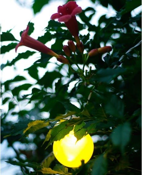 Lampki ogrodowe girlandy ogrodowe 10 metrów zewnętrzne 20 LED Światło stałe - Multikolor 15 4268759858fcf79cfd9fe72947f9b1f5