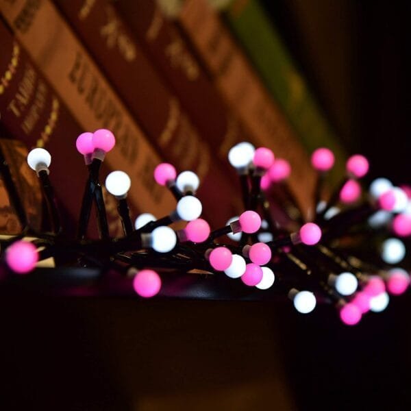 310cc3cf7296d0ab56e612b70d193409