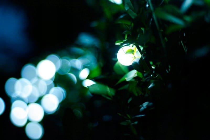 Lampki ogrodowe girlandy ogrodowe 20 metrów zewnętrzne 200 LED Światło stałe - Zimny Biały 11 81752f94787ae2b9c93299982cccb280