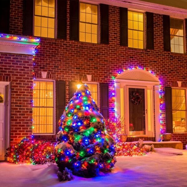 81mBinufdiL._AC_SL1500_-16.jpg 7e654c944d0484bc5b843dc1ea395b79